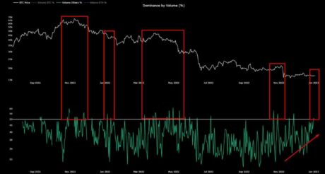 CryptoQuant Bitcoin Crypto Market Mastery