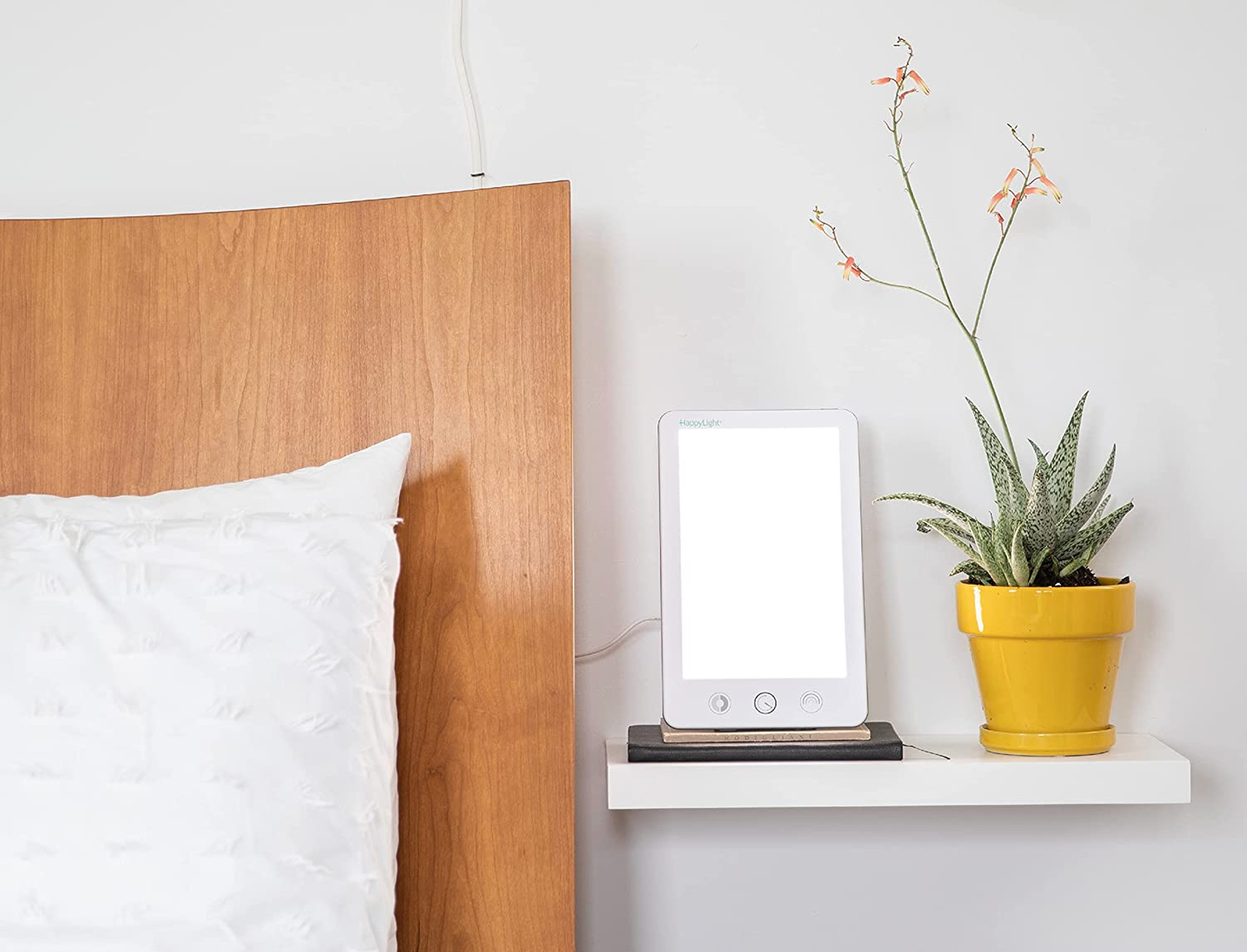 Small light panel on the shelf between the bed and the plant.