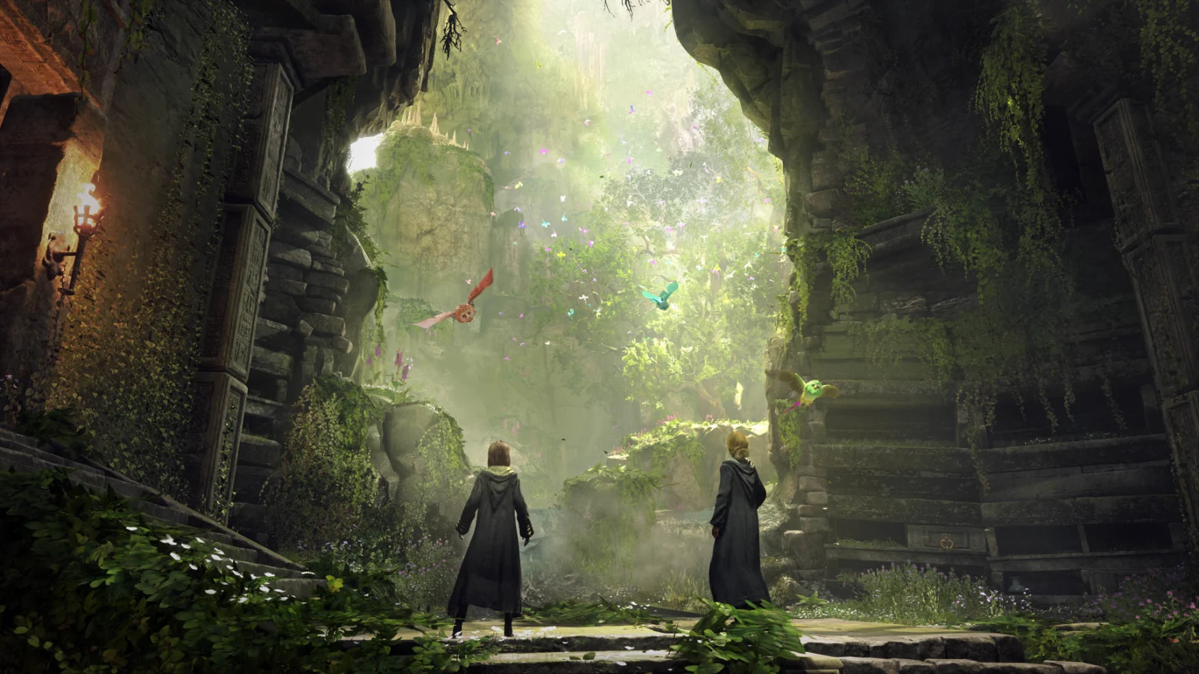 A gaping hole in the side of a castle wall reveals lush, overgrown foliage and two colorful birds, and two Hogwarts students look on in amazement.