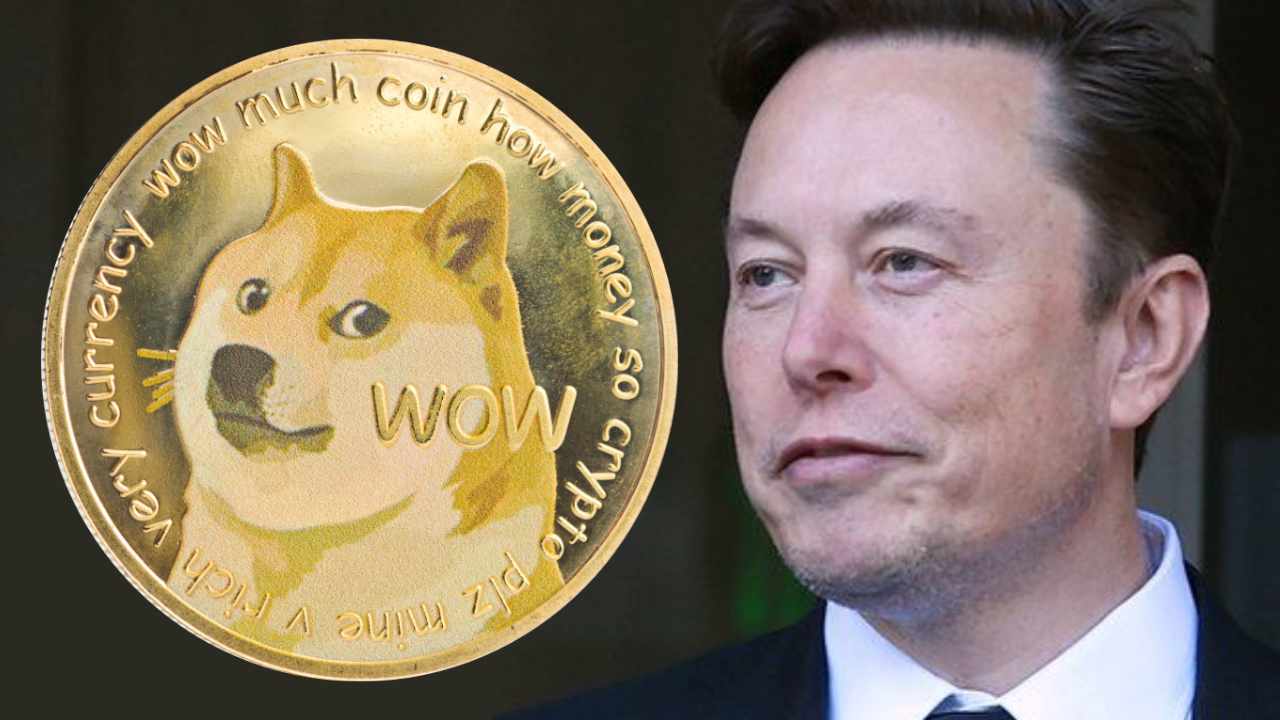 Elon Musk Asks Judge To Dismiss Dogecoin Lawsuit Alleging He Operated Pyramid Scheme To Promote DOGE