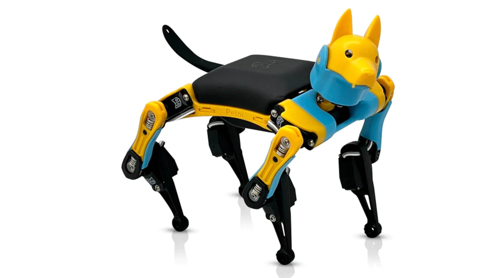 Little robotic dog Petoi