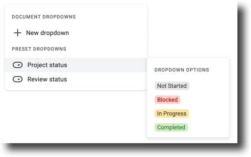 A screenshot of the document dropdowns showing a plus sign for a new dropdown and then has two preset dropdowns.  one for project status and one for review status.  screenshot shows project status with dropdown options of not started, locked, in progress, completed 