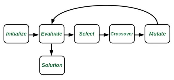 Understanding Neuroevolution