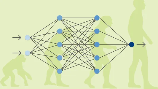 NEAT: Neuroevolution of augmenting topologies 