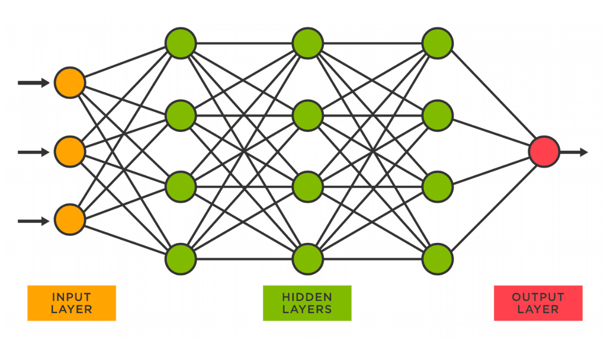 Exploring neural networks