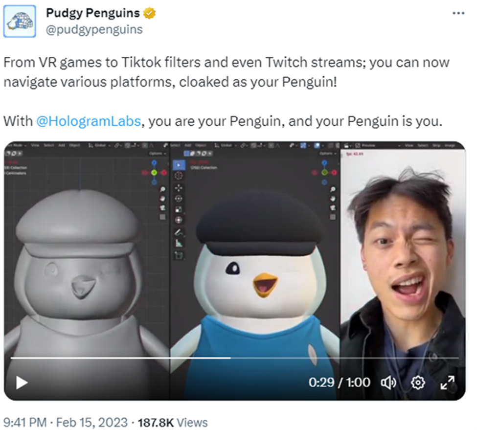 How Pudgy Penguins NFTs Defied the Bear Market to Prosper