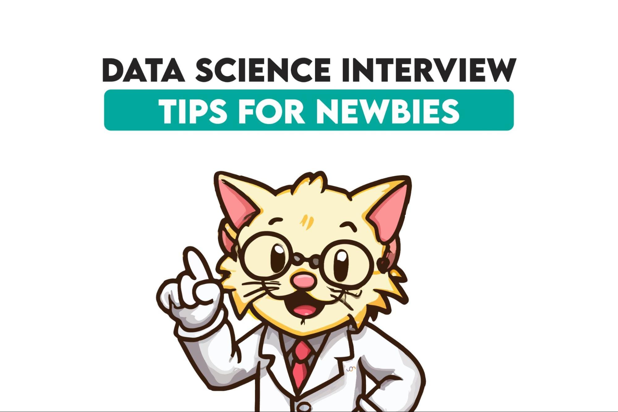 More tips to successfully face job interviews for beginners in data science