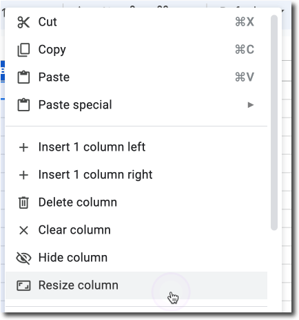 Screenshot of context menu showing "change column size"