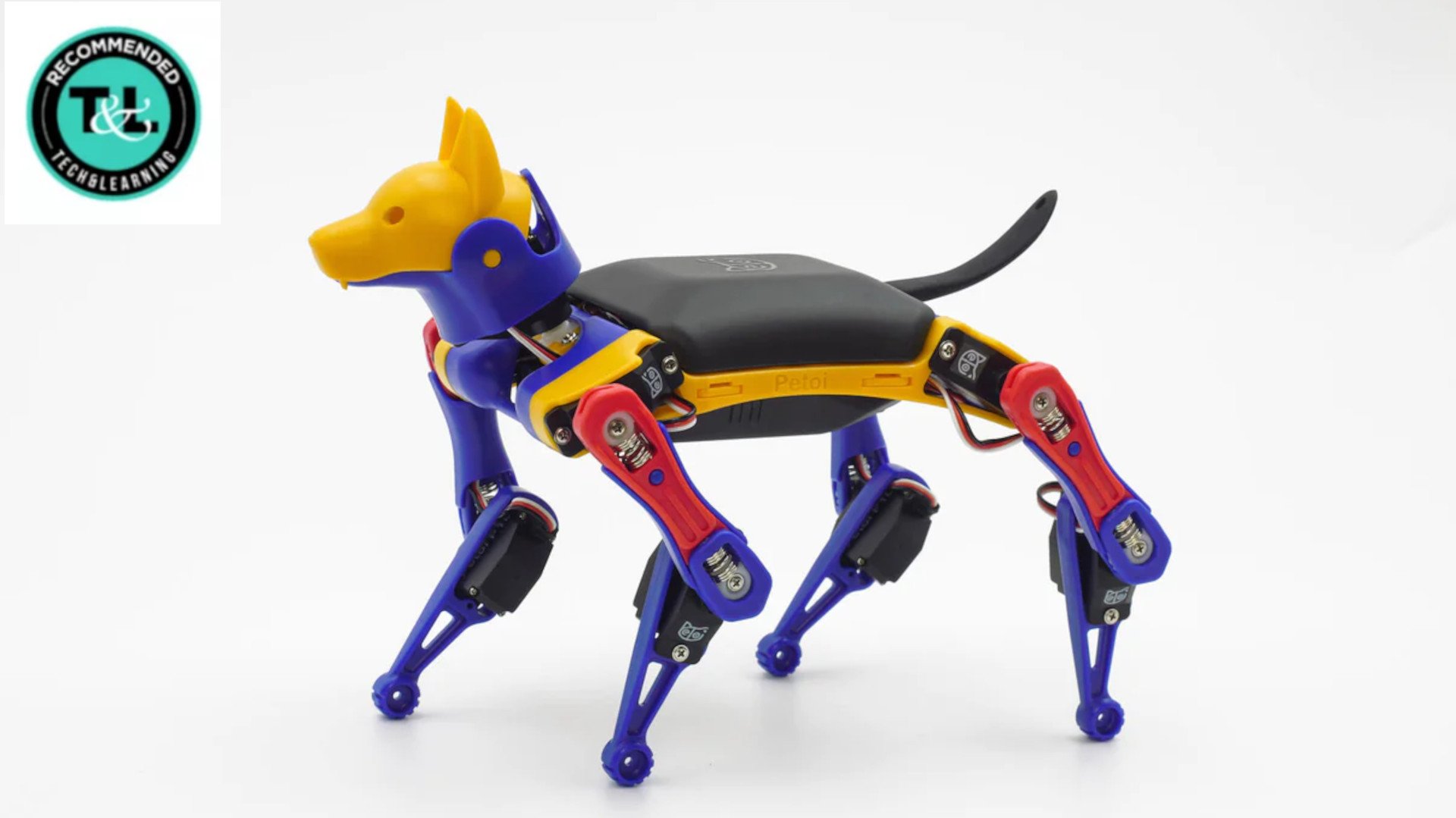 Petoi little robot dog