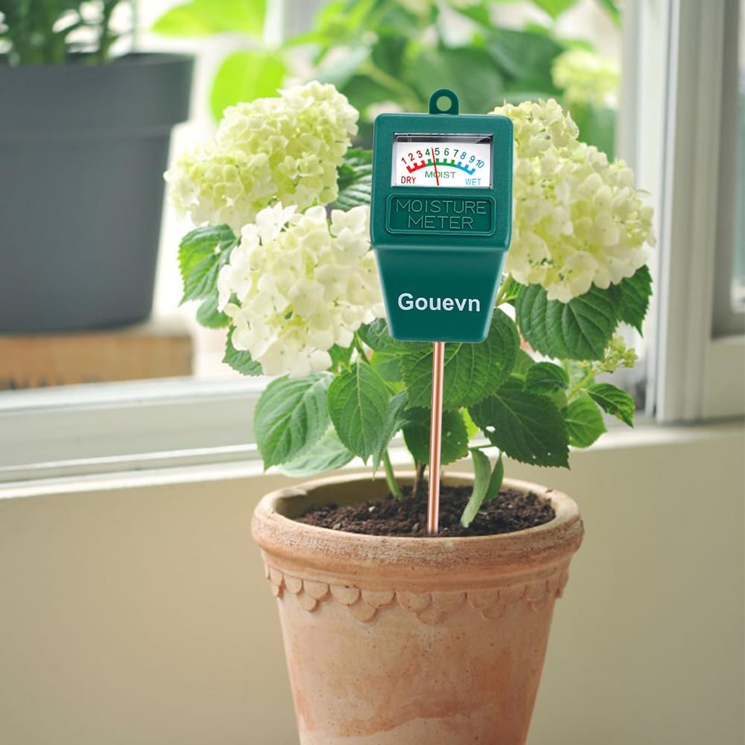 Green moisture meter stuck in the soil of a potted plant.