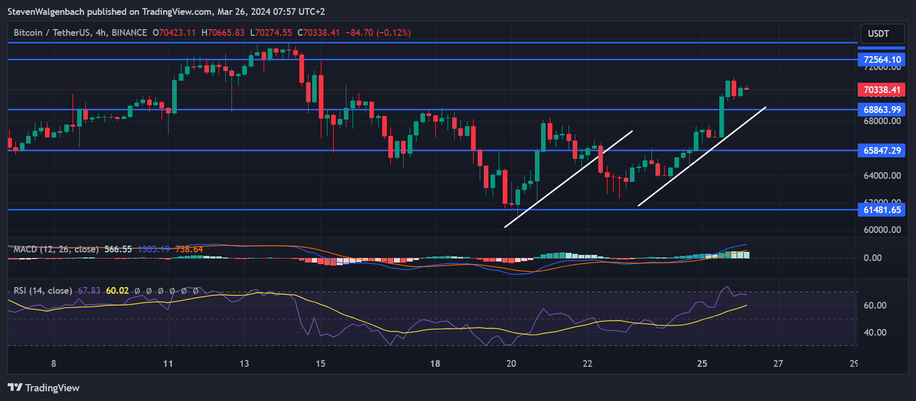 BINANCE: BTCUSDT chart image by StevenWalgenbach