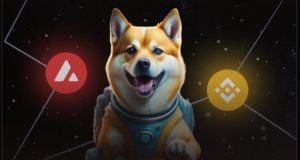 Dogeverse Multichain Token