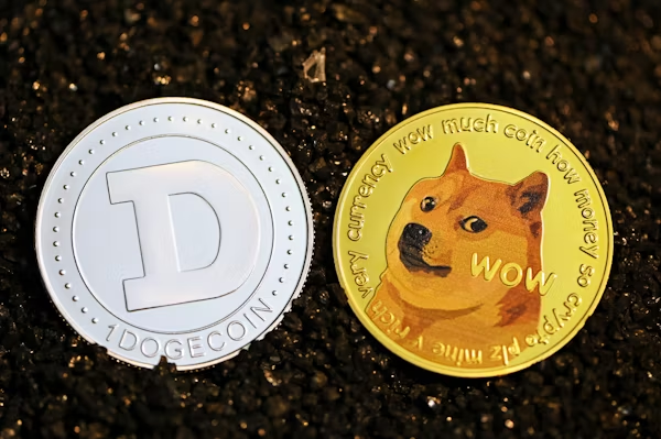 Dogecoin witnesses 14% drop