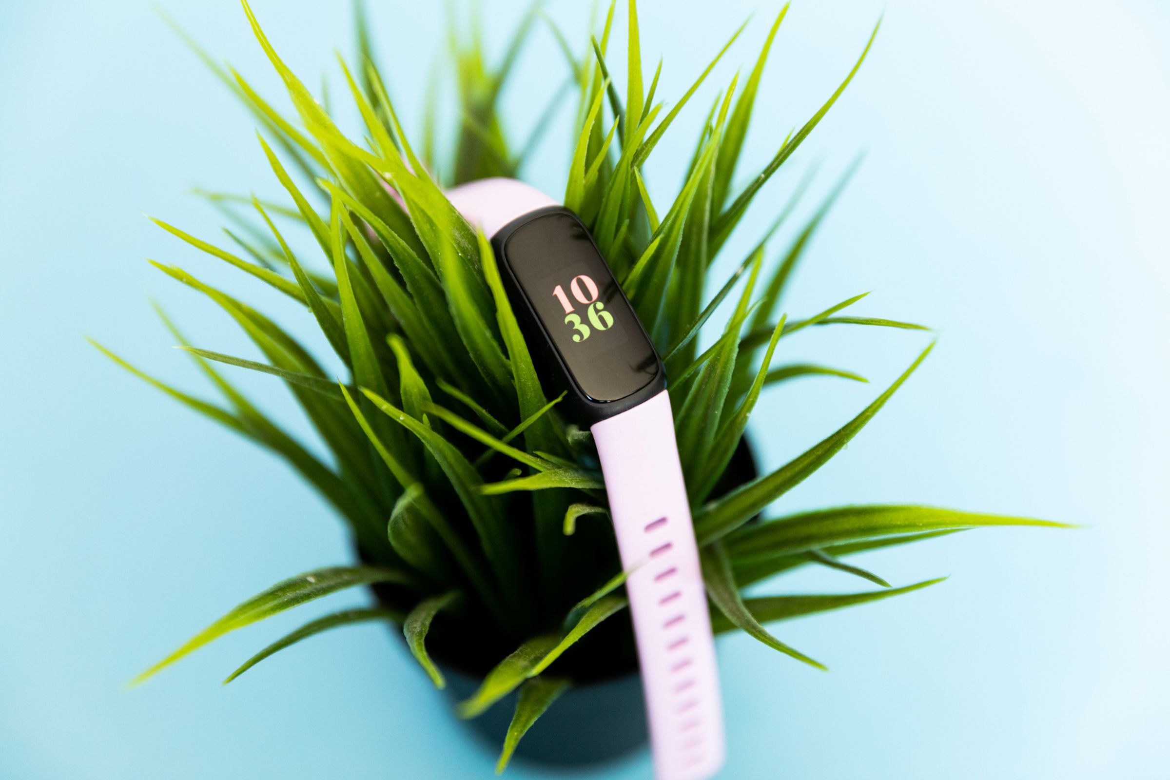 The Fitbit Inspire 3 on top of a plant
