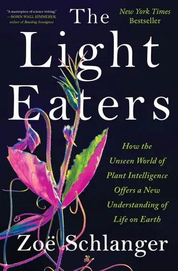 The cover of the book The Light Eaters