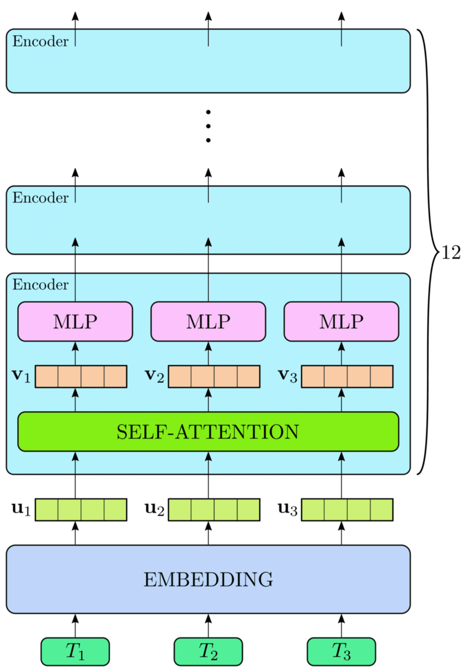 BERT Architecture