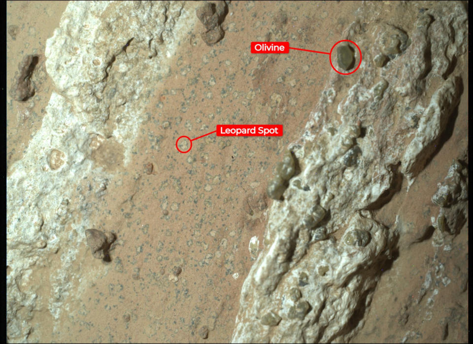 A close-up of a reddish rock.