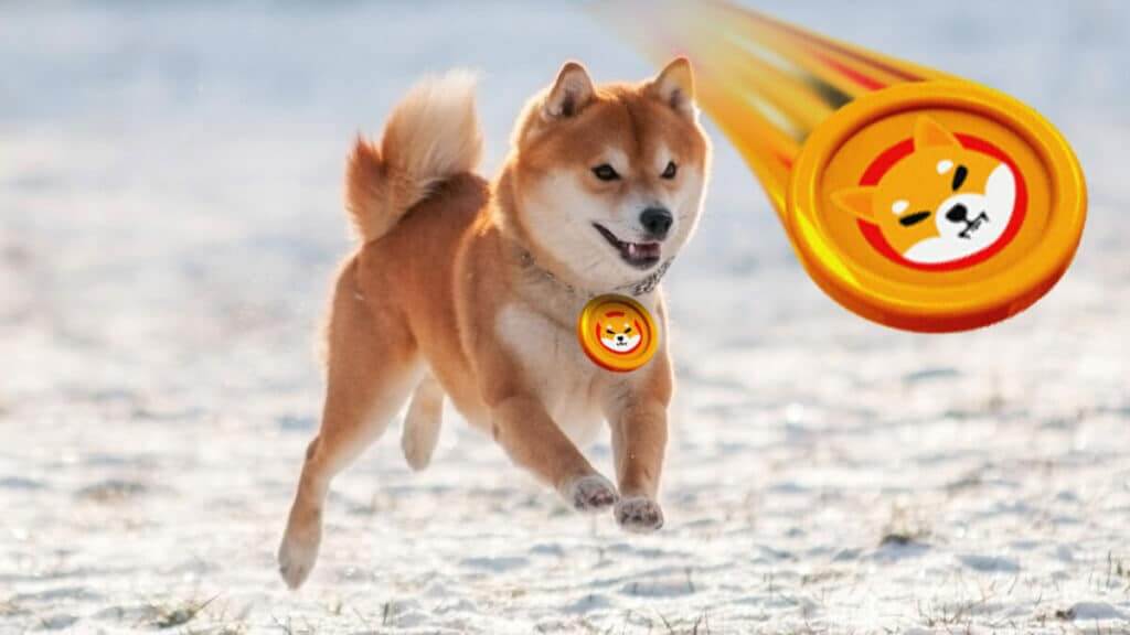 What is the burn rate of Shiba Inu? 
