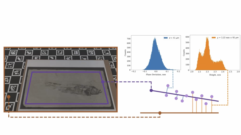 Left: A fish fossil in front of a scanner calibration panel. Right: Graphics showing data analysis.