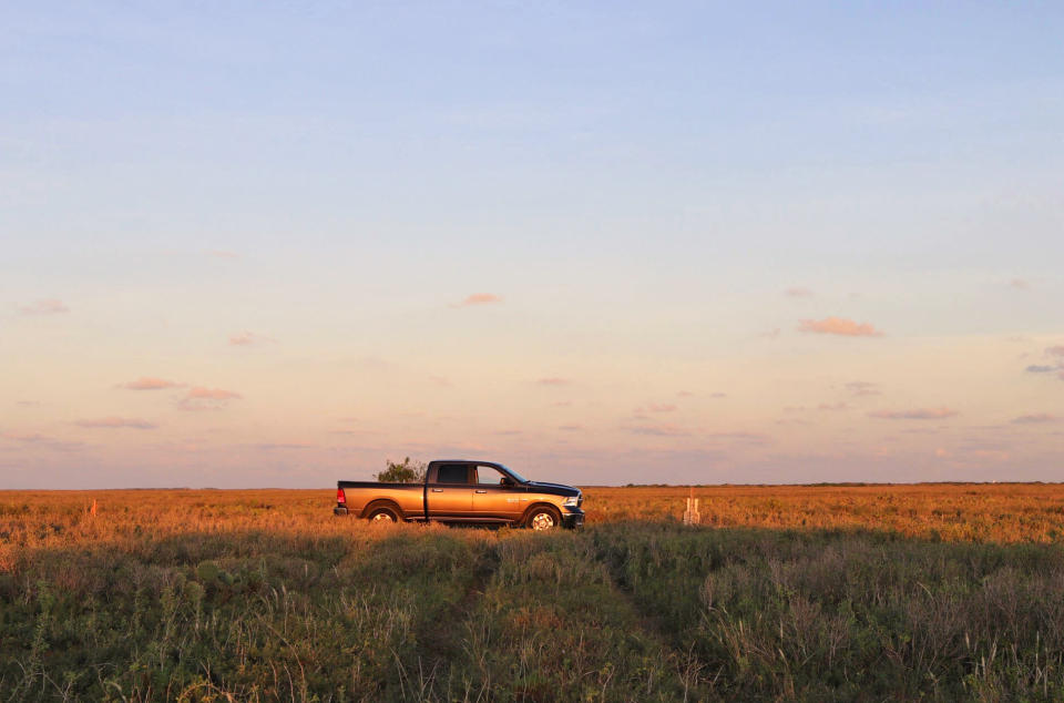 What CAH lands in Texas looked like before SpaceX's alleged intrusion.