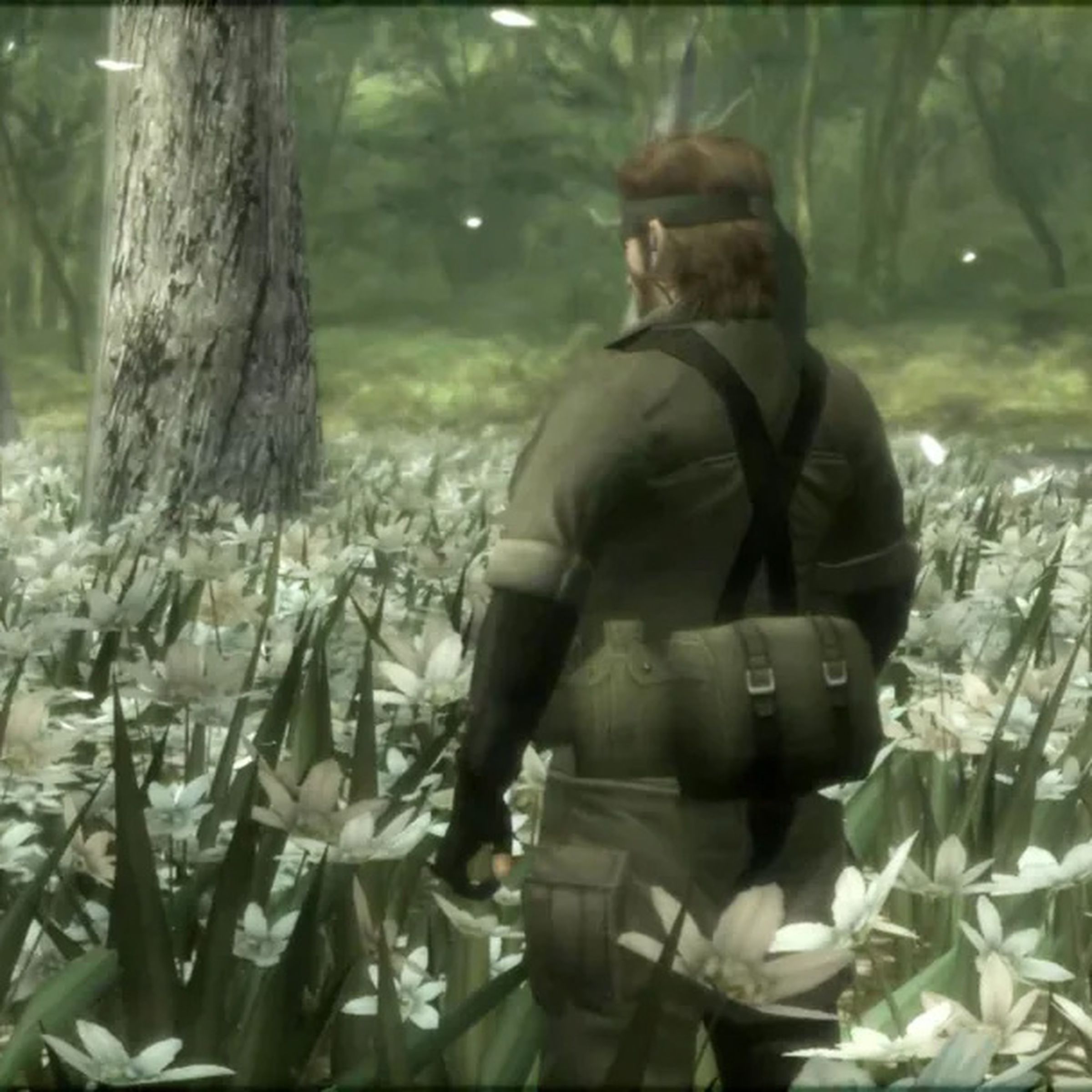 Naked Snake and The Boss face off in a field of flowers.