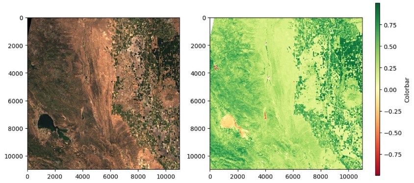 Imagen en color verdadero de Sentinel 2 y NDVI