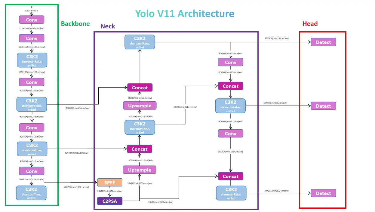 A Comprehensive Guide to YOLOv11 Object Detection