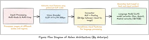 molmo architecture