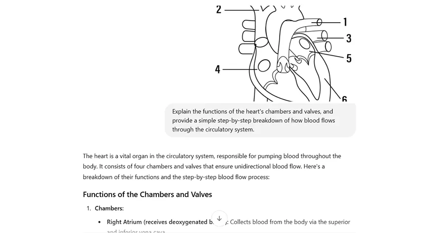 LLMs for Image to Text Conversion