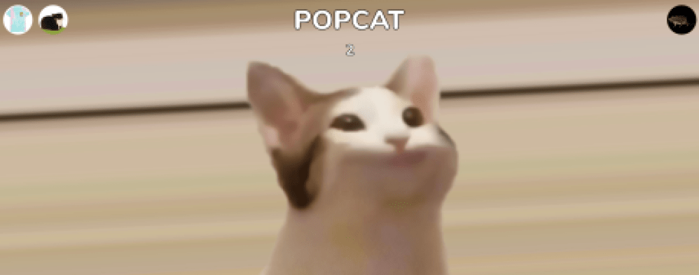 pop cat