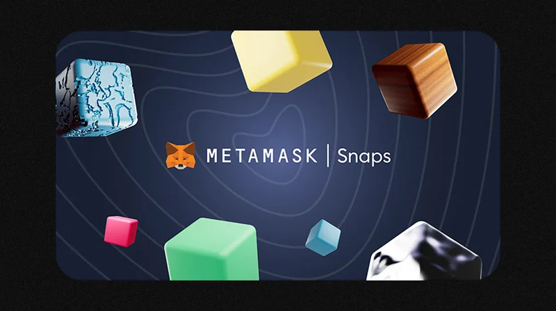 MetaMask Guide 2025 - MetaMask Snapshots