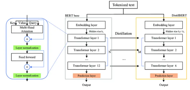 Architecture of HuggingFace DistilBERT | small language models