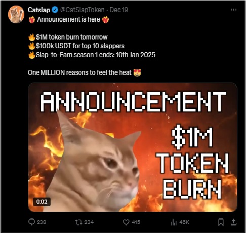 Catslap burning tokens worth $1 million