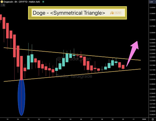 Dogecoin 3 Price