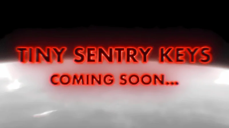 What are Tiny Sentry Keys?