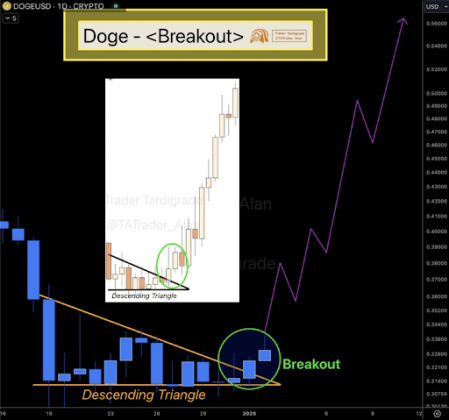 Dogecoin 3 Price