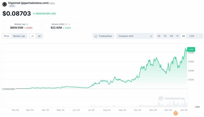 Gigachad is among the best performing meme coins in early 2025