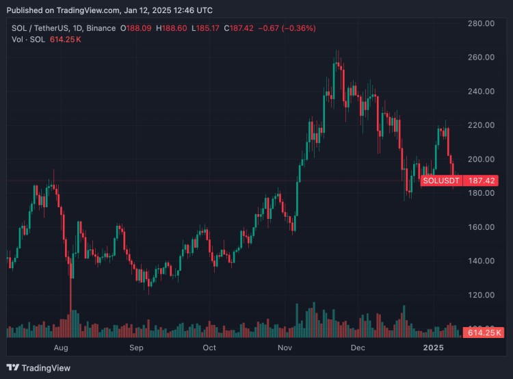 $DOT price has increased more than 100% in a year - Source: TradingView